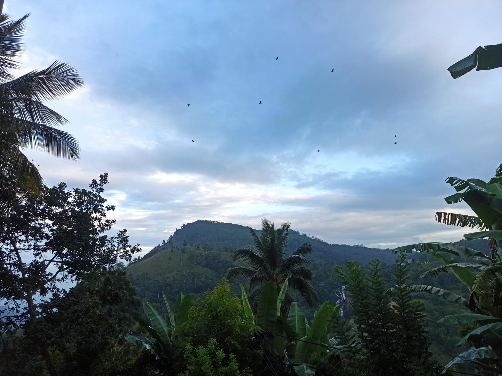 Ella Elysium Escapes Villa ภายนอก รูปภาพ